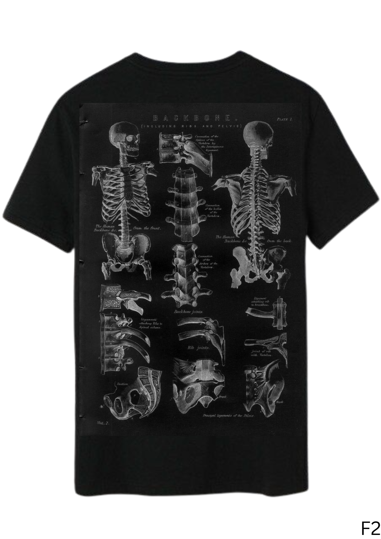 Nyctophilia Manifest - Anatomy of Darkness Tee